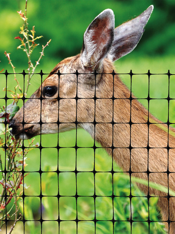 plastic rabbit fence