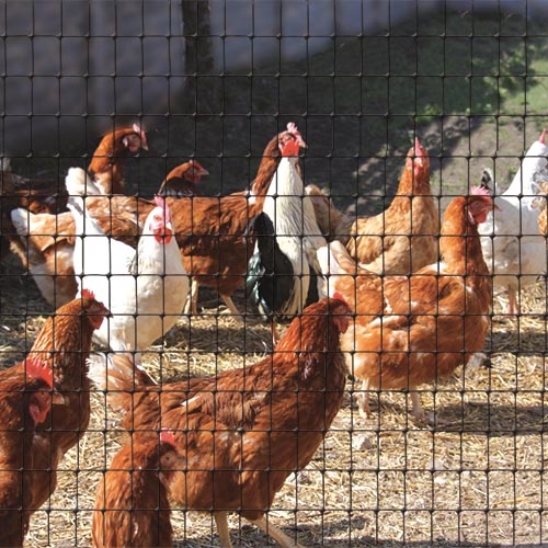 plastic mesh for cages and aviaries, chicken fence