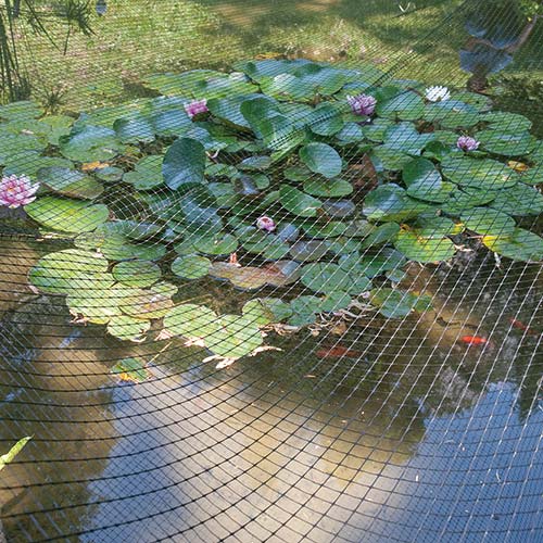 PLANT & POND BIRD NET