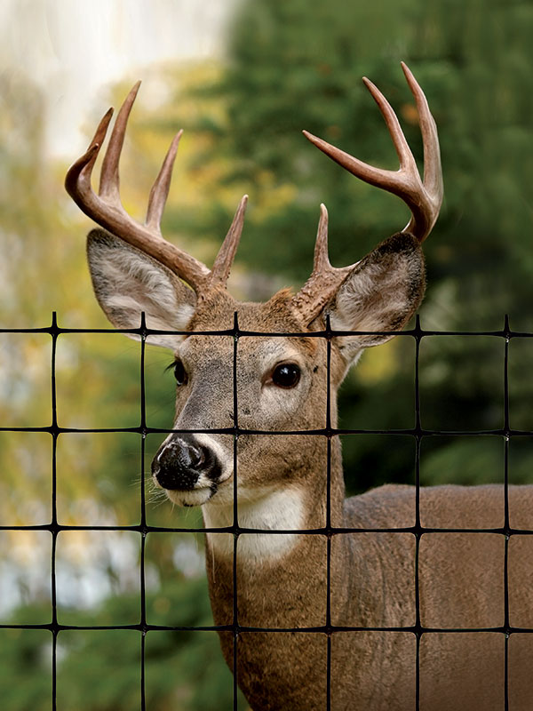 Deer Fence & Elk Fence