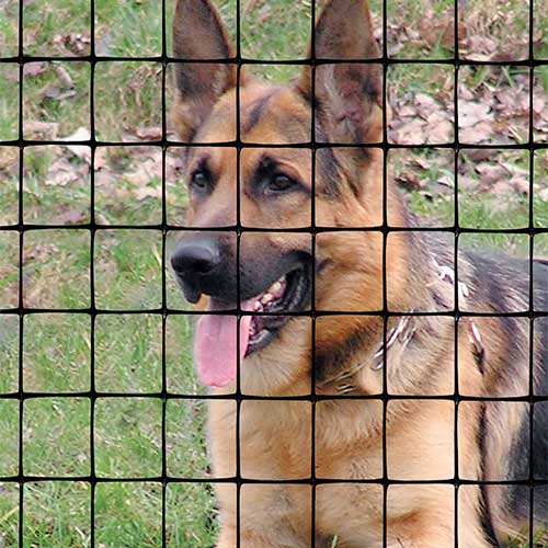 Pet Fence. Boundaries and Fencing. Tenax