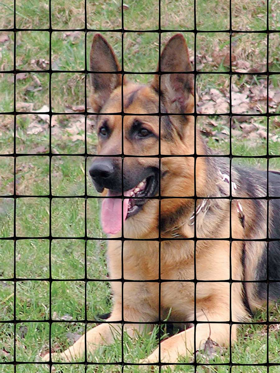 plastic fence for pets, dogs