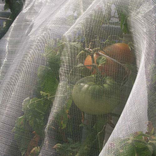 MICROFENDER INSECT NET