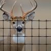 DEER FENCE PREMIUM