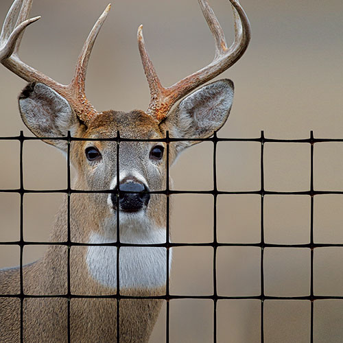 Tenax deer fence premium