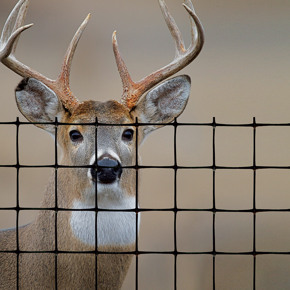 Deer fencing supplies discount
