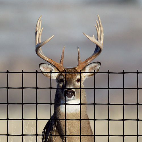 Tenax deer fence pro plastic mesh