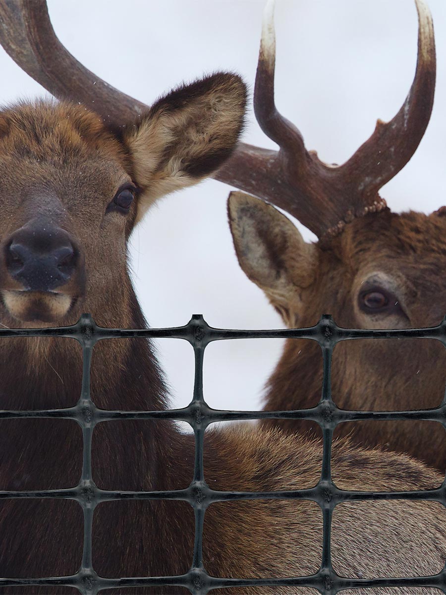 Pet Fence. Boundaries and Fencing. Tenax