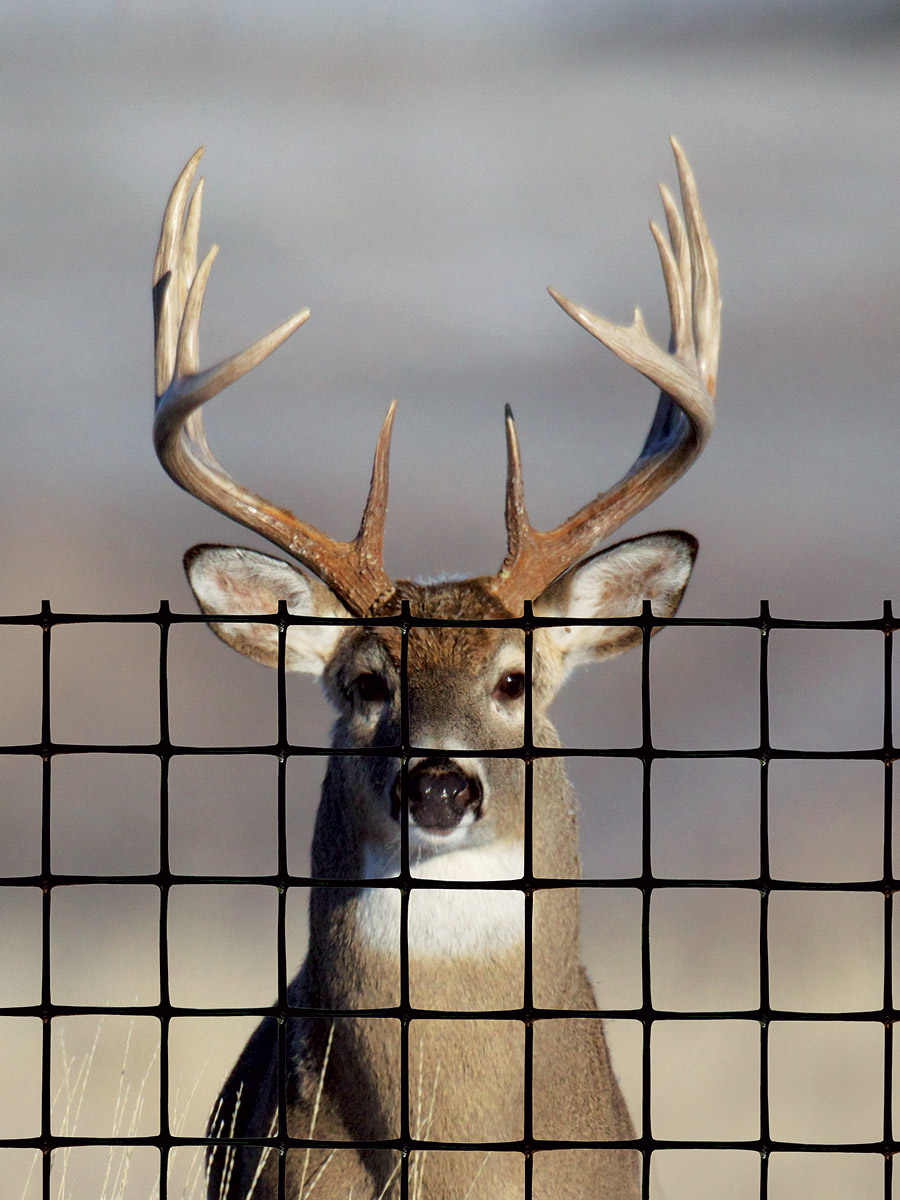 Deer fence pro for deer control