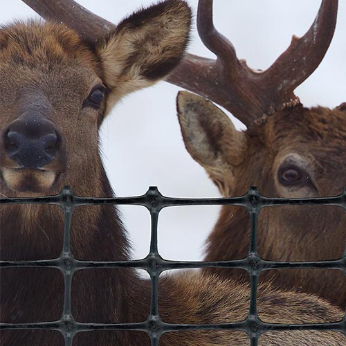 Tenax elk fence